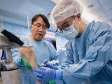 HK Wrist Course 2024 - Workshops  - 66 of 241.jpeg
